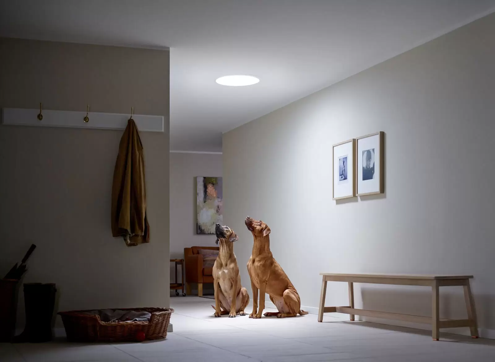 Velux svjetlosni tunel - GTP Maric 